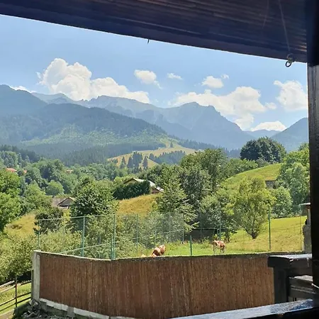 Nocleg ze śniadaniem Casa Hoinarilor Bran (Brasov)