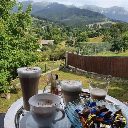 Casa Hoinarilor * Bran (Brasov)